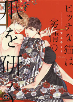 Portada del manga Bitch na Neko wa Retsujou no Tsume wo Togu en español