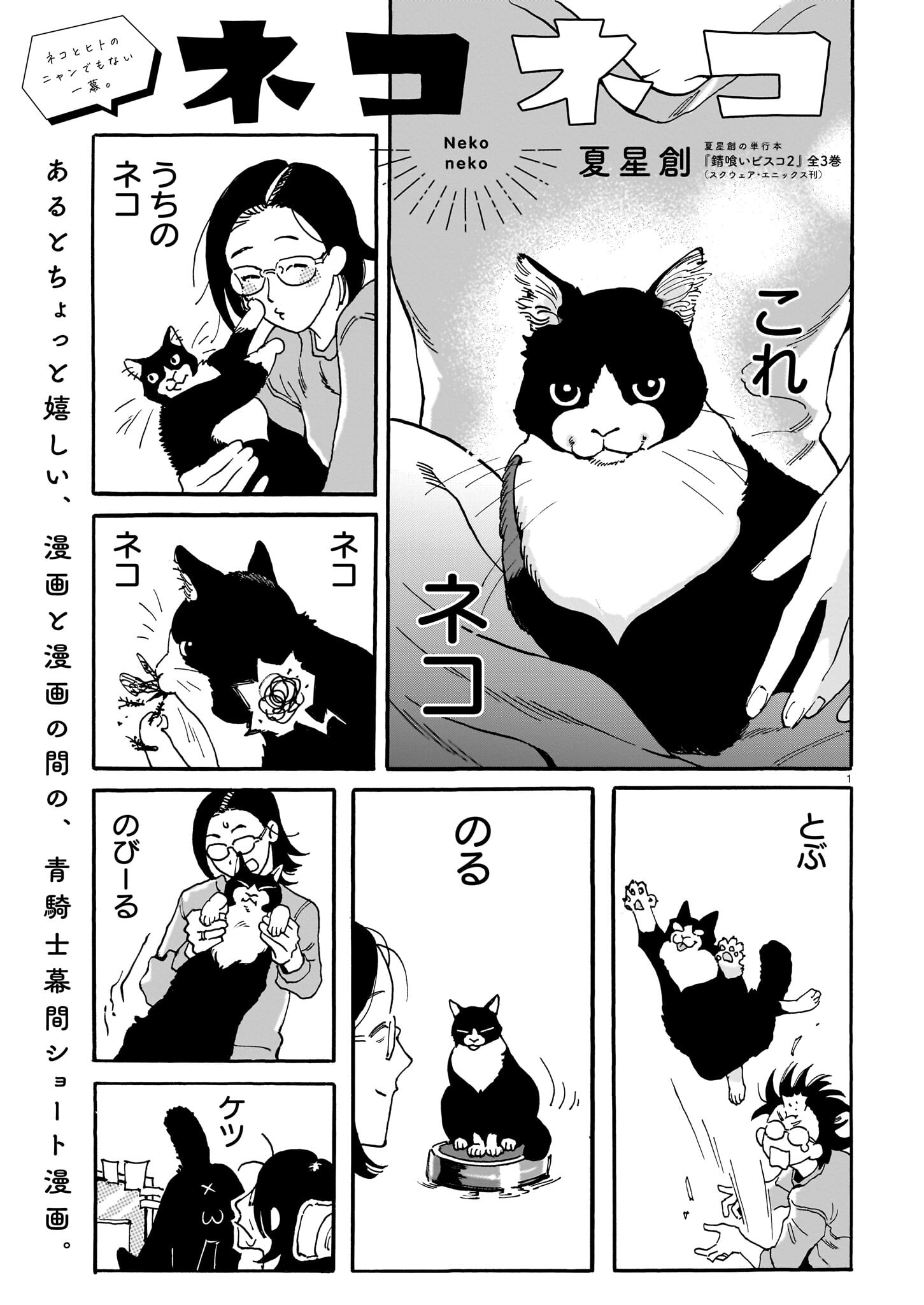Neko Neko