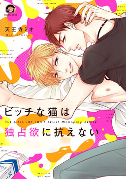 Portada del manga Bitch na Neko wa Koukishin ni Katenai en español