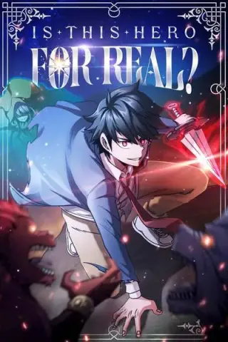 Is This a Real Hero?