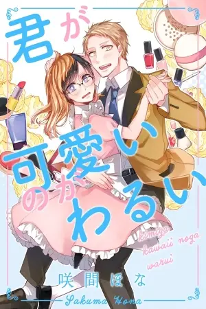Kimi ga Kawaii no ga Warui