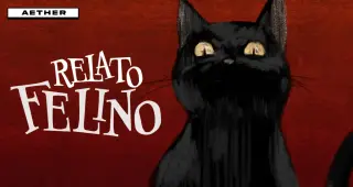 Relato Felino