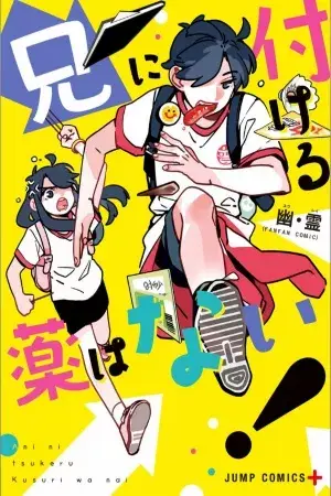 Ani ni Tsukeru Kusuri wa Nai!
