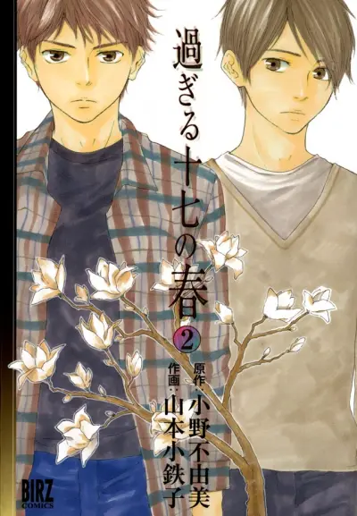 Portada del manga My 17th Spring en español