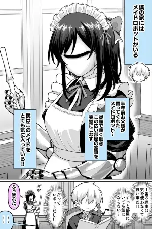 ¿Una Maid Robot?